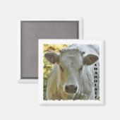 シャロレ牛マグネット マグネット (正面/裏面)