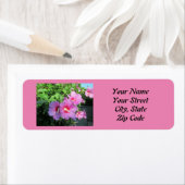 シャロンかわいらしのピンクのバラの写真 ラベル (インサイチュ)