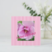 シャロンのバラ フラット カード (スタンド正面)