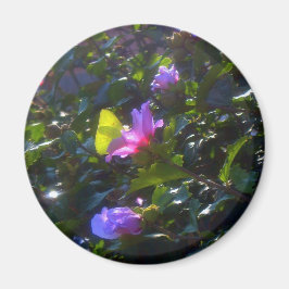 シャロンのピンクのバラに黄色の蝶 マグネット