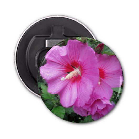 シャロンのピンクのバラの雨滴花びら花写真 栓抜き (正面)