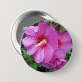 シャロンのピンクのバラの雨滴花びら花写真 缶バッジ (正面&裏面)