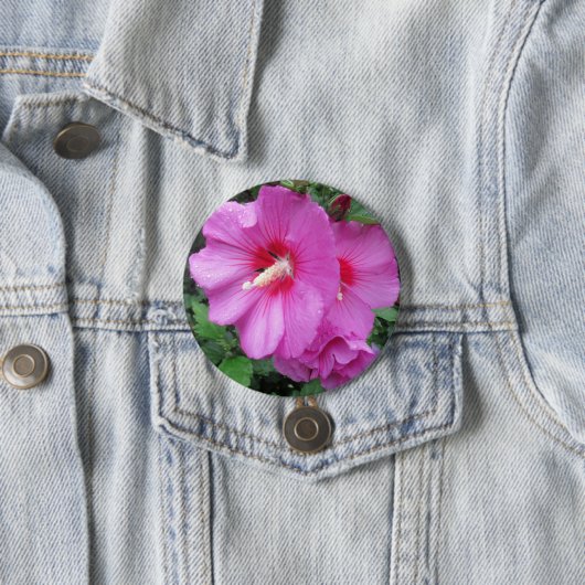 シャロンのピンクのバラの雨滴花びら花写真 缶バッジ (インサイチュ)