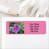 シャロンのピンク色のバラの写真差出人住所ラベル ラベル (インサイチュ)