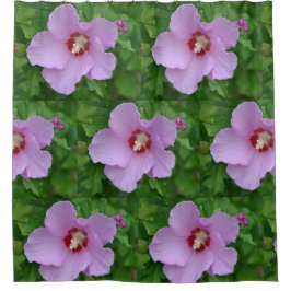 シャロンのピンク色のバラ シャワーカーテン