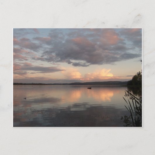 シャロンシャープの美しい反射 ポストカード (正面)