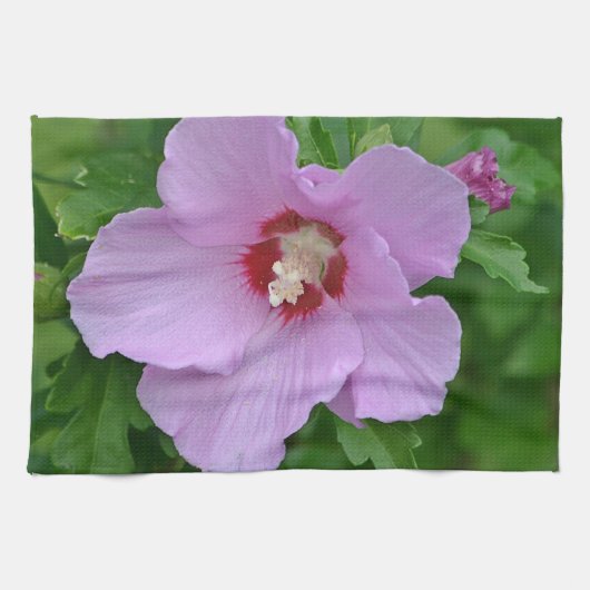 シャロンバラタオル キッチンタオル (横)