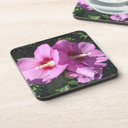 シャロンバラ コースター (左側)