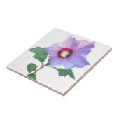 シャロンバラ タイル (側面)