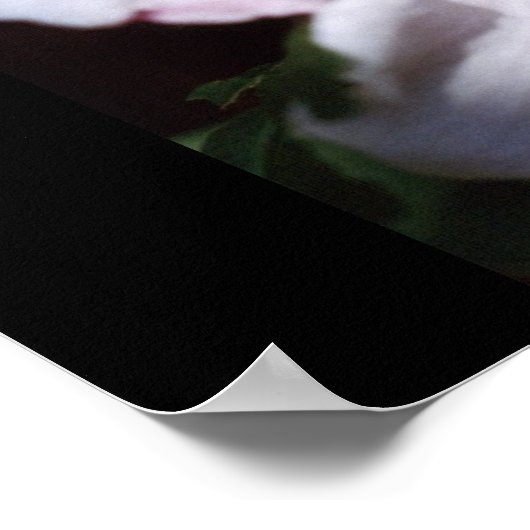 シャロンバラ ポスター (角)