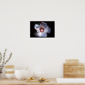 シャロンバラ ポスター (キッチン)