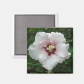 シャロンバラ マグネット (正面/裏面)