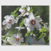 シャロンバラ ラッピングペーパー (フラット)