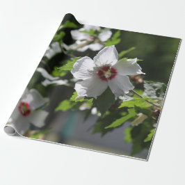 シャロンバラ ラッピングペーパー