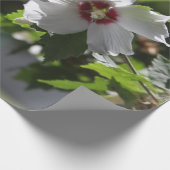 シャロンバラ ラッピングペーパー (角)