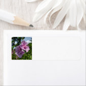 シャロンバラ ラベル (インサイチュ)