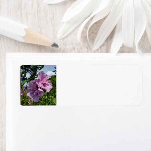 シャロンバラ ラベル (インサイチュ)