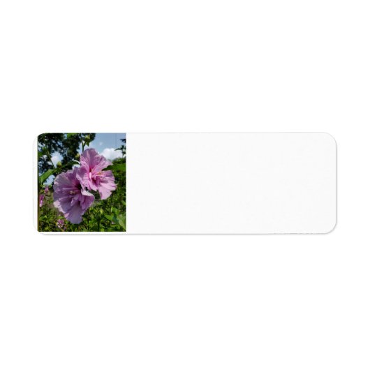 シャロンバラ ラベル (正面)