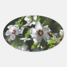 シャロンバラ 楕円形シール