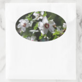 シャロンバラ 楕円形シール (バッグ)