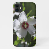 シャロンバラ Case-Mate iPhoneケース (裏面)