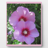 シャロン写真のピンク色のバラ フォトプラーク (正面)