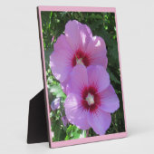 シャロン写真のピンク色のバラ フォトプラーク (側面)