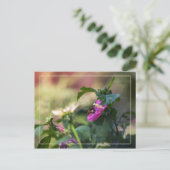 シャロン及び訪問者のバラ ポストカード (スタンド正面)