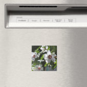 シャロン磁石バラ マグネット (インサイチュ (食洗機))