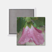 シャロン花びらの雨滴磁石付バラ マグネット (正面/裏面)