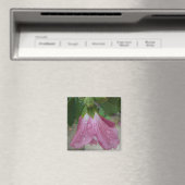 シャロン花びらの雨滴磁石付バラ マグネット (インサイチュ (食洗機))