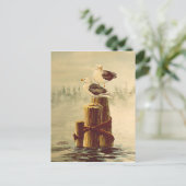 シャロン・シャーペのシーグルのペア ポストカード (スタンド正面)