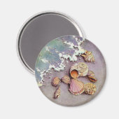 シャロン・シャーペの貝殻 マグネット (正面/裏面)