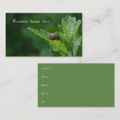 シャロン・フローラ・ビートルのバラのラディバグ 名刺 (正面/裏面)