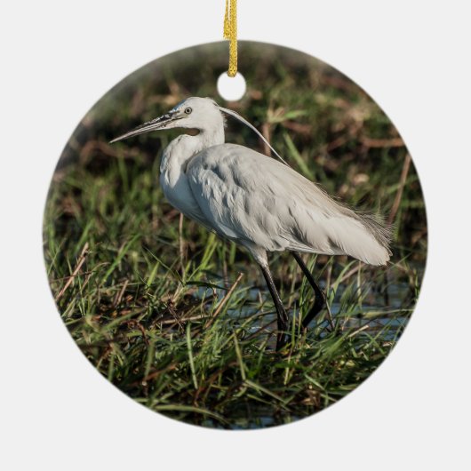 シャローズのイグリッド魚釣り セラミックオーナメント (裏面)