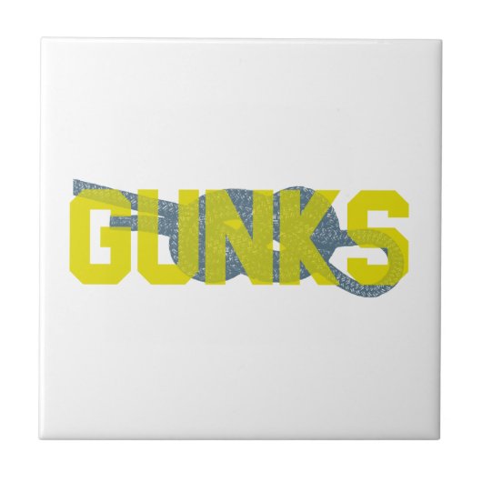 シャワグンクス登山 タイル (正面)