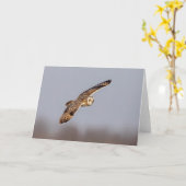 シャワンクングン草原の短い耳のフクロウ カード (黄色い花)