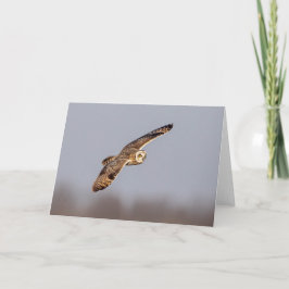 シャワンクングン草原の短い耳のフクロウ カード