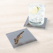 シャワンクングン草原の短い耳のフクロウ ガラスコースター (アングル)