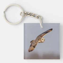 シャワンクングン草原の短い耳のフクロウ キーホルダー