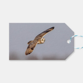 シャワンクングン草原の短い耳のフクロウ ギフトタグ