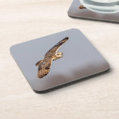 シャワンクングン草原の短い耳のフクロウ コースター (左側)