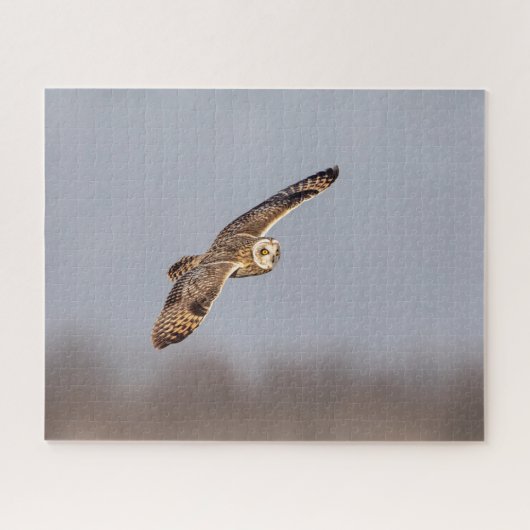 シャワンクングン草原の短い耳のフクロウ ジグソーパズル (横)