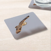 シャワンクングン草原の短い耳のフクロウ スクエアペーパーコースター (アングル)