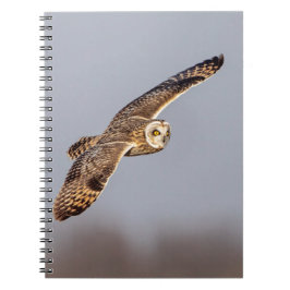 シャワンクングン草原の短い耳のフクロウ ノートブック