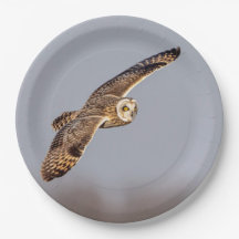 シャワンクングン草原の短い耳のフクロウ