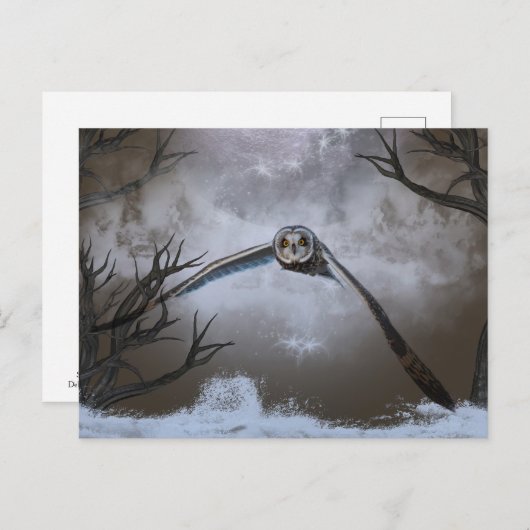 シャワンクングン草原の短い耳のフクロウ ポストカード (正面/裏面)
