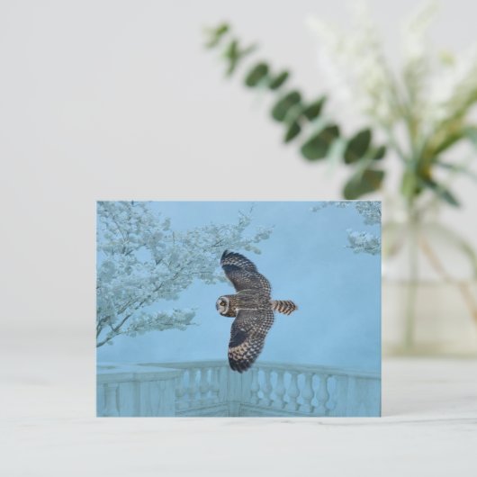 シャワンクングン草原の短い耳のフクロウ ポストカード (スタンド正面)