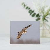 シャワンクングン草原の短い耳のフクロウ ポストカード (スタンド正面)