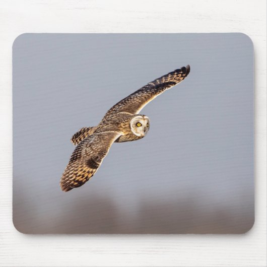 シャワンクングン草原の短い耳のフクロウ マウスパッド (正面)